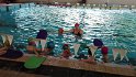 IMG_20160504_093930 IMG_20160504_093930